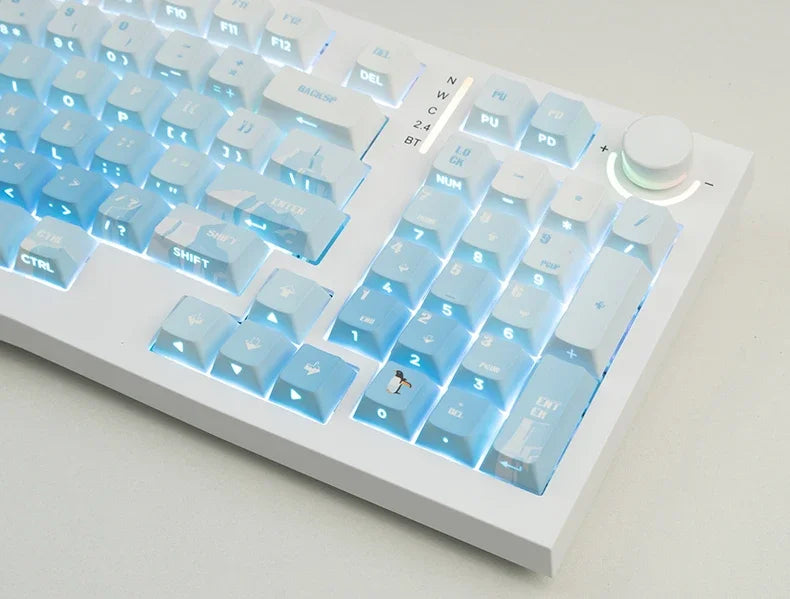 PIIFOX PBT OEM Profile Keycaps 135Keys Heat Sublimation Keycaps Ice Age Seeking Glacier Hand Painted Translucent  Key Caps