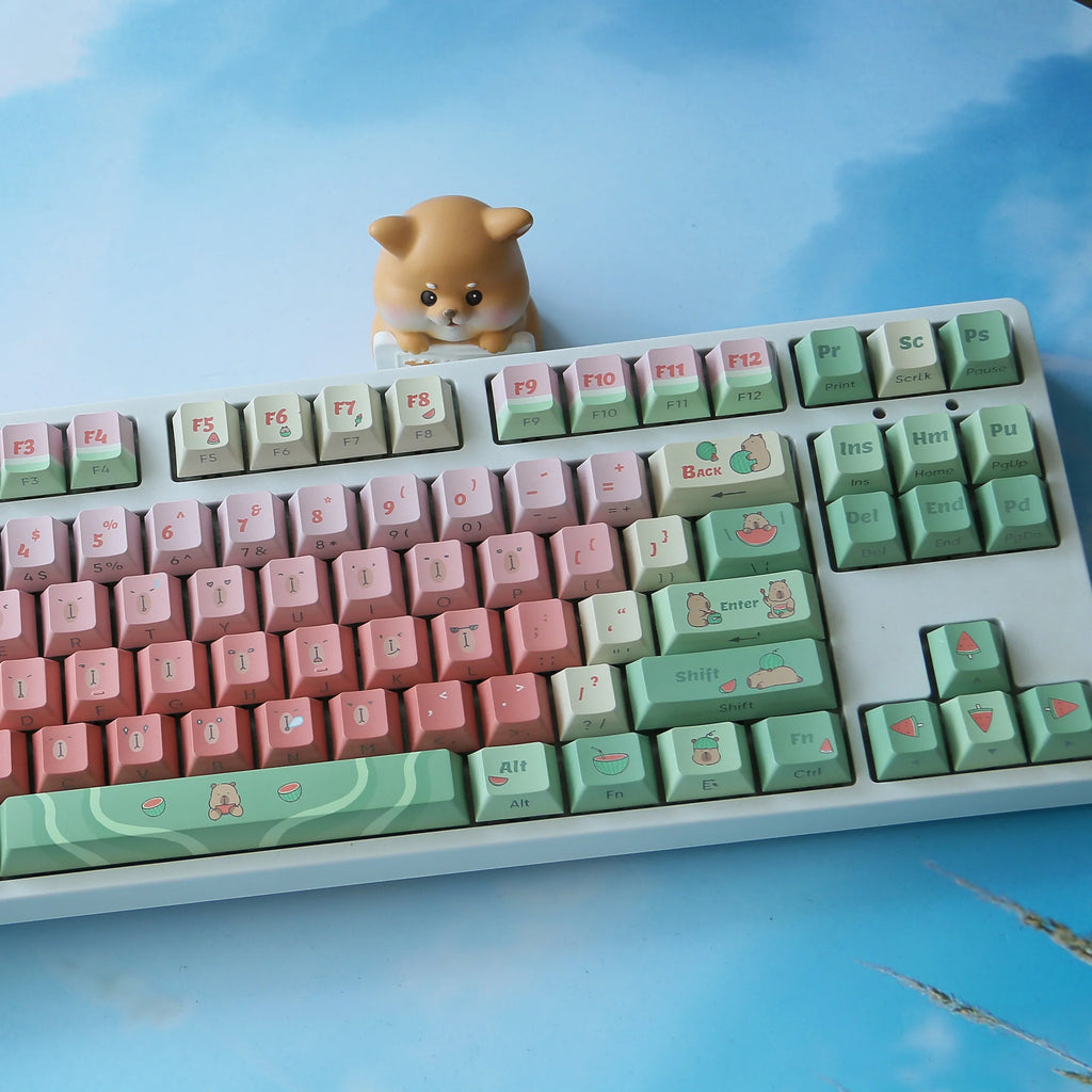 Capybara Watermelon MOA Profile Keycaps 131 Keys 5 Sides Dye Sub PBT Keycaps for Gateron Cherry MX Switches Mechanical Keyboards