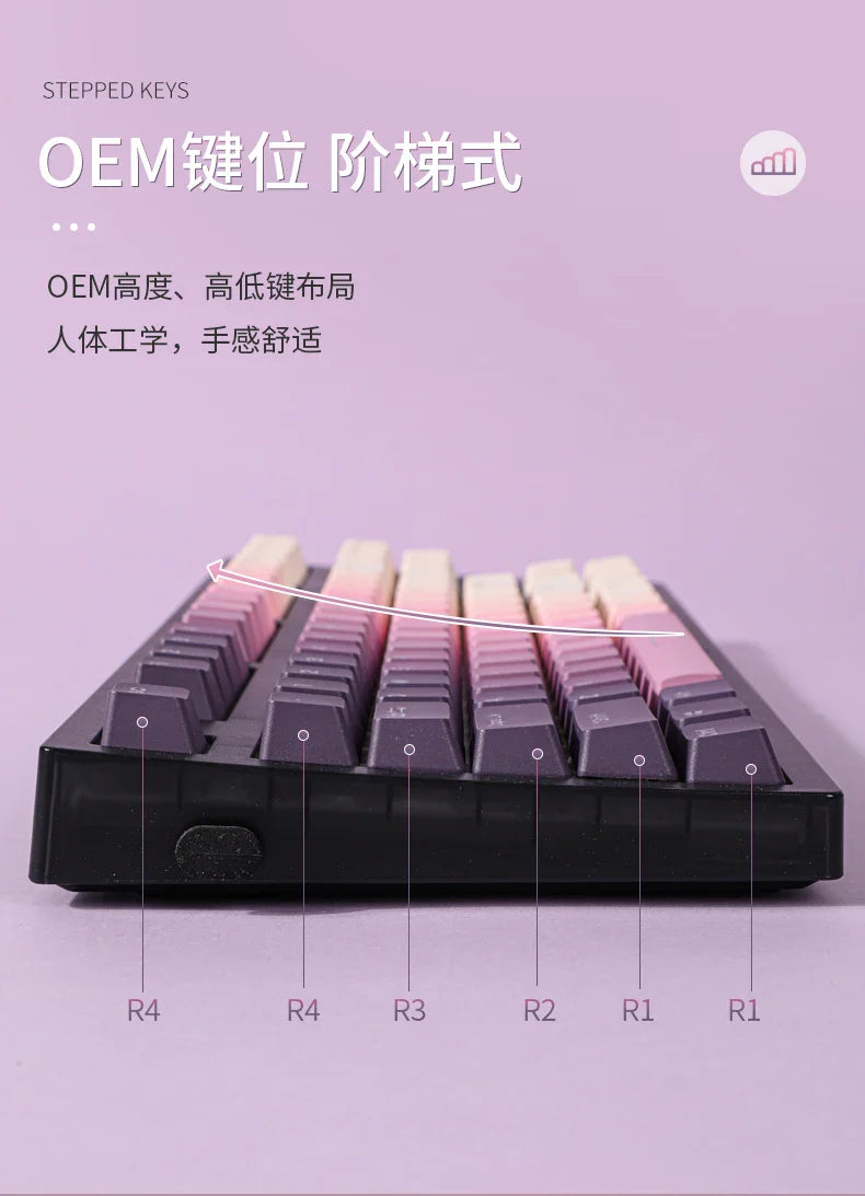 Gradient Eye Shadow PLUS Keycaps Side Top Character Translucent Backlit Key cap PBT OEM profile For MX Switch Keyboard